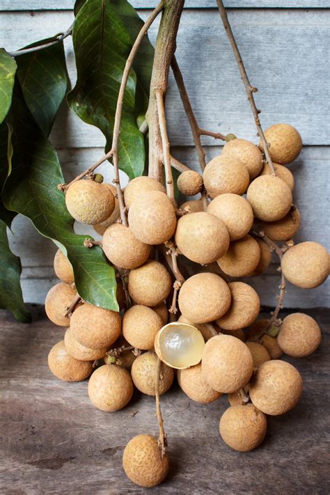 What Is Longan Healthier Steps