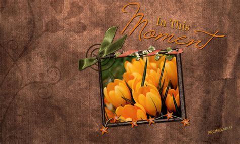 800x480 Brown And Orange Flower Wallpaper With Quote That Says In This