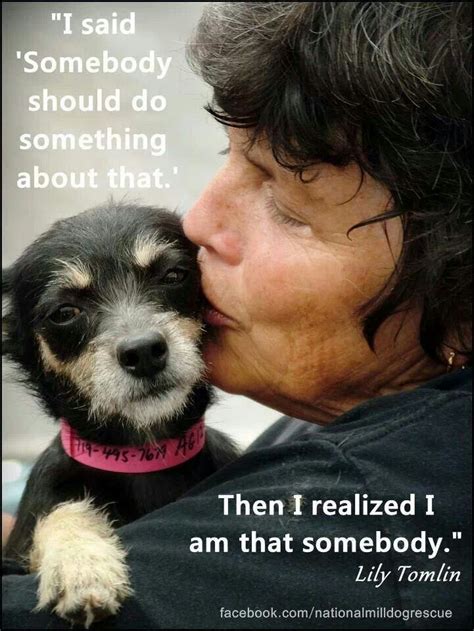 Hopefully, these inspirational quotes will help you so that you never lose the passion you need to succeed, and the kind of satisfaction george lorimer spoke about. Inspirational Quotes About Dog Rescue. QuotesGram