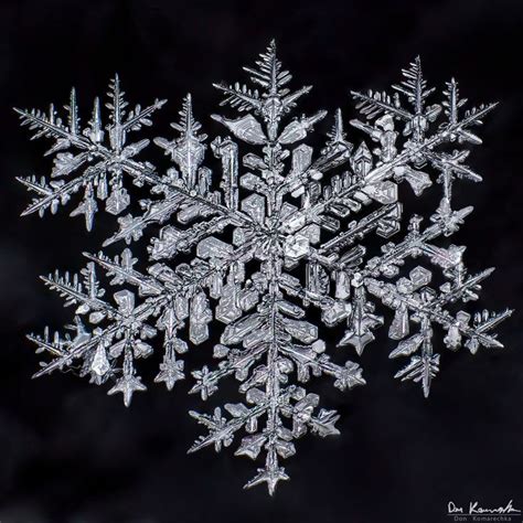 Snowflake Macro Photography By Don Komarechka Snowflake Photography