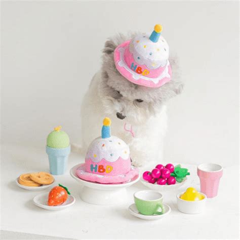 Hbd Happy Birthday Dog Hat And Toy 2 In 1 Happy Birthday Dog