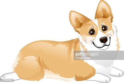 Dog Laying Down Vector Photos And Premium High Res Pictures Getty Images