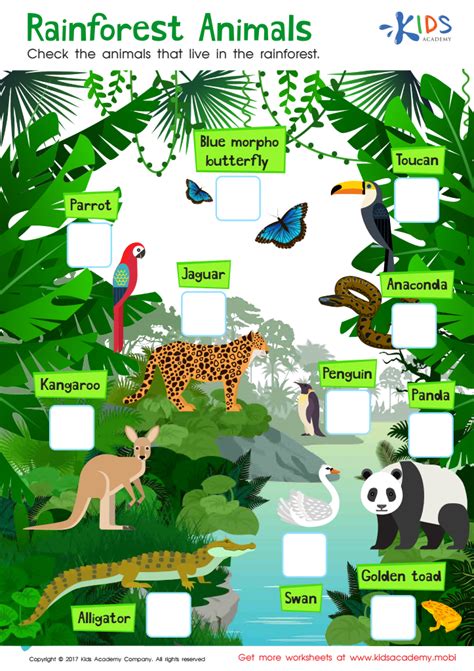 African Rainforest Animals For Kids