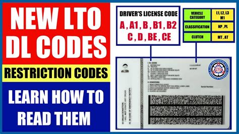 New Lto Dl Codes Restriction Codes Learn How To Read Them Youtube