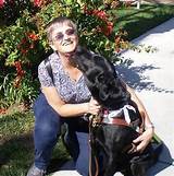 American Dog Trainer Network Pictures