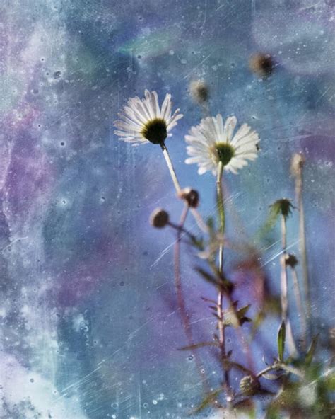 Cobalt Blue Wall Art Daisy Picture Like Painting Printable