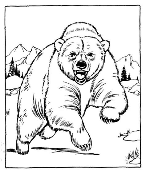 Free coloring book for kids 2. Grizzly Bear Coloring Page | 動物, 刺繍, 熊