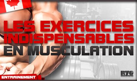 Blog Musculation Rudy Coia