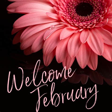 Welcome February In 2020 Welcome February Niche February