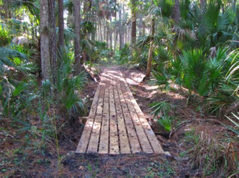 8 Of The Best Section Hikes On The Florida Trail American Hiking Society
