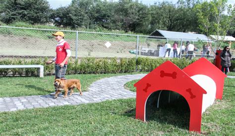 Inauguran Parque Para Perros Chilango