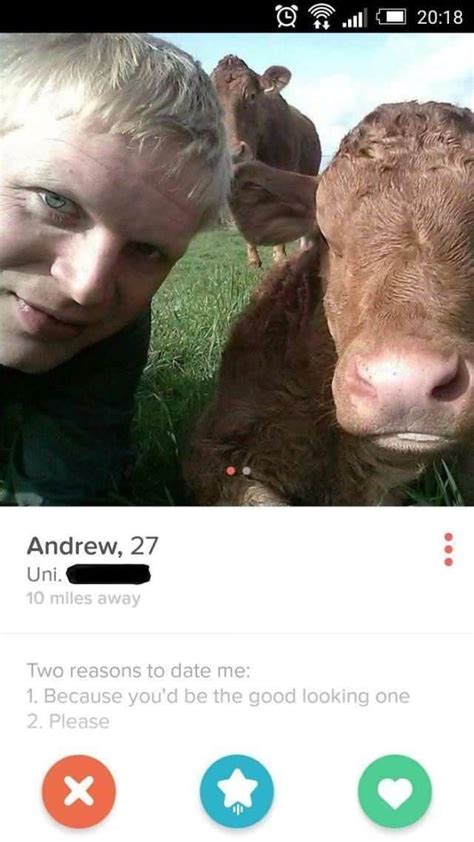 50 Clever Online Dating Profiles That Will Have You Buckled Over Laughing Funny Tinder Profiles