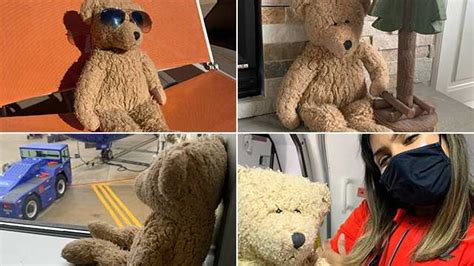 Teddy Bear Left Behind At Bwi Marshall Seeks Its Owner