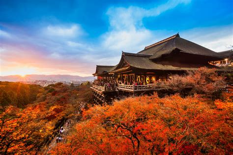 Fall Foliage in Japan - AV Travel