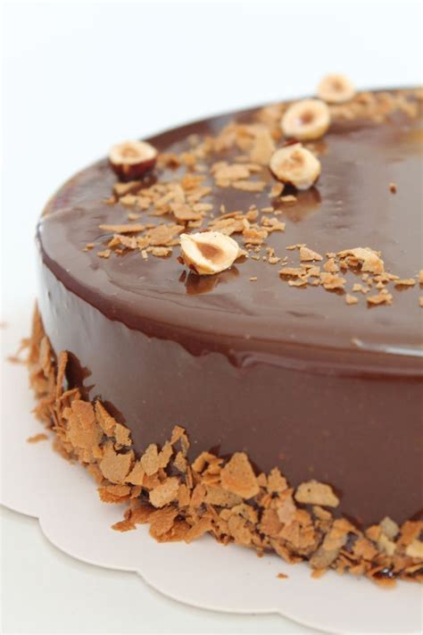 The association of chocolate, almonds and hazelnuts for a dazzling dessert! ENTREMET CHOCOLATE PRALINE HAZELNUT - Dessert et ...
