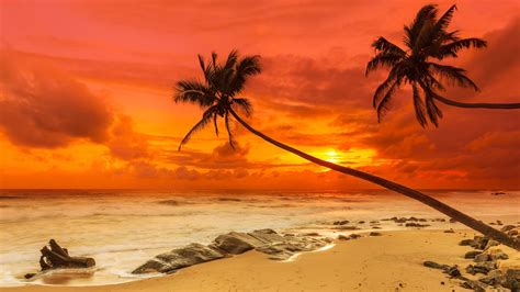 Tropical Beach Sunset 8k Ultra Hd Wallpaper Background