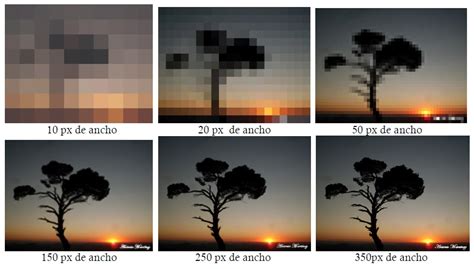 Composición 32 Factores Más Técnicos Pixeles Y Ppp Pixeles Por