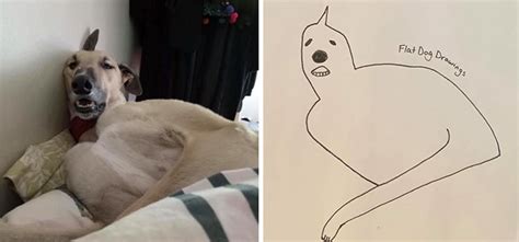 The doodle man demonstrates how you can doodle a dog. This Person Tried To Draw Their Dog And Now People Can't ...
