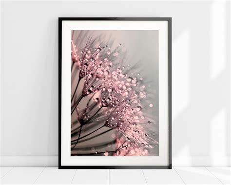 Blush Dandelion Art Print Pink Flower Poster Modern Etsy Uk