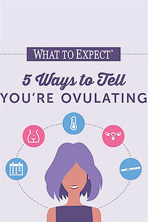 Best Way To Know If You Are Ovulating Just For Guide