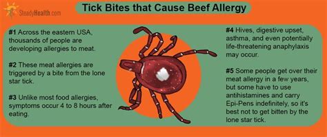 Do You Have A Beef With The Lone Star Tick Tick Bite Causes Meat