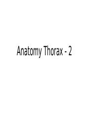 Anatomy Thorax 2 Pptx Anatomy Thorax 2 Thorax The Primary