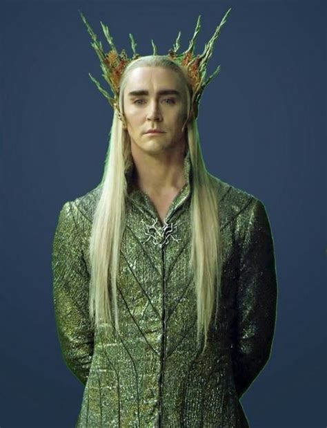 Imagen de CM JESs en Tolkien World El señor de los anillos Hobbit Señor