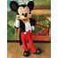 Mickey Mouse Mascot – Anil Events
