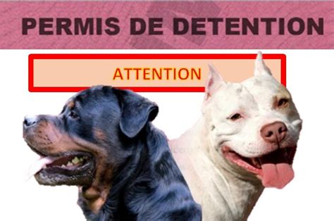 Détention Dun Chien De Catégorie 1 Ou 2 Rumersheim Le Haut