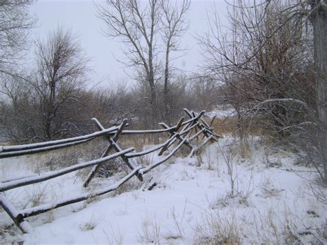 Peaceful Winter Scene At Morad Park Snow Fence Wyoming Fence Design