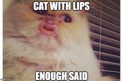 Funny Lips Meme
