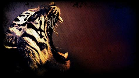 Inspirasi Terbaru 12 Wallpaper 3d Hd Tiger