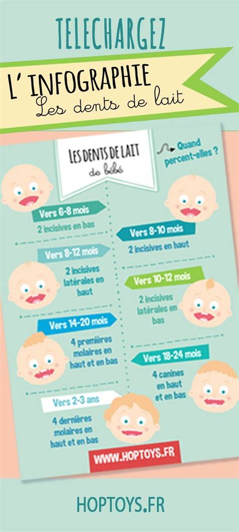 Infographies Les Différentes étapes De Bébé Formation Petite