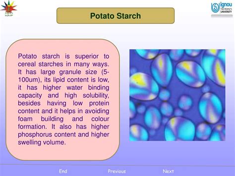 Ppt Starch And Liquid Glucose From Potato Powerpoint Presentation
