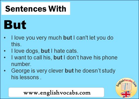 Sentences With Can In A Sentence Can English Vocabs