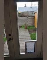 Dog Door Insert For Sliding Screen Door Pictures