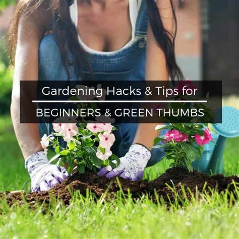 gardening hacks ideas 35 creative garden hacks and tips that every gardener should know