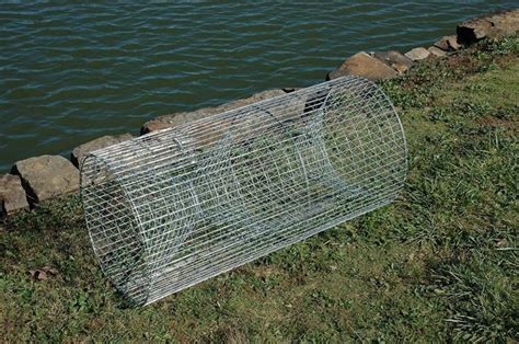 How To Build Your Own Fishing Trap Five Gallon Ideas
