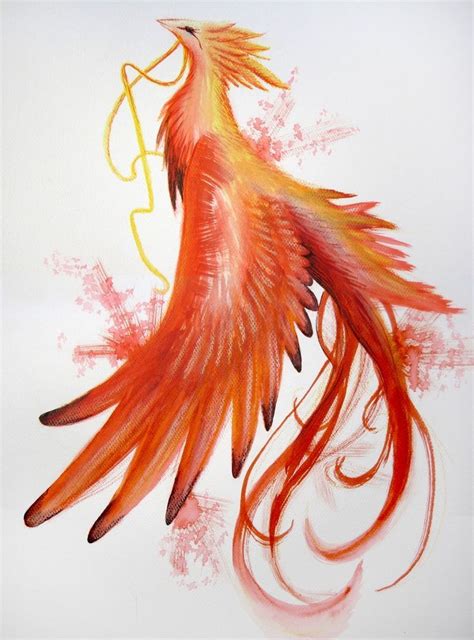 Four Phoenix Drawing Pheonix Drawing Fire Bird