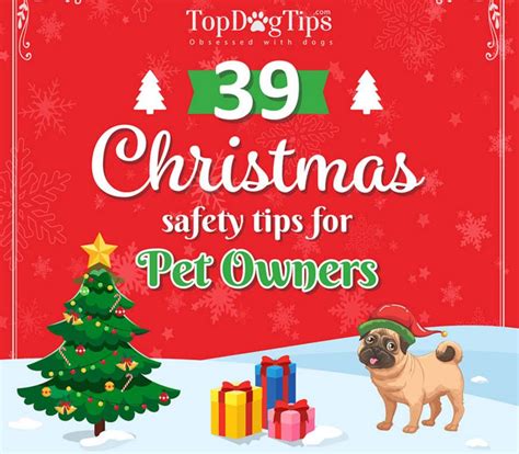 39 Holiday Pet Safety Tips Infographic
