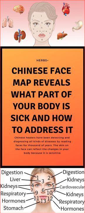 Chinese Face Map Reveals What Part Of Your Body Is Sick And How To