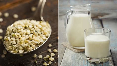 Best And Worst Milks To Drink For Your Cholesterol Levels Everyday Health