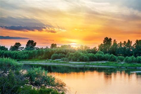 Beautiful Sunset Above A Big River Stock Photo Image Of Forest
