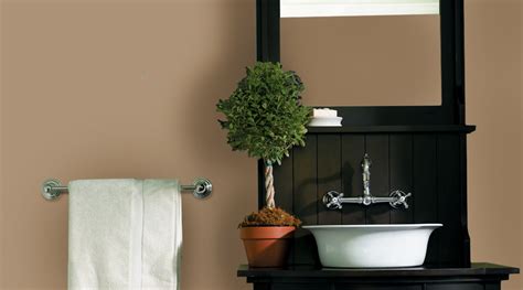Bathroom Paint Color Ideas Inspiration Gallery Sherwin Williams