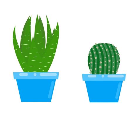 Ilustración Gráfica Vectorial De Una Flor De Cactus En Una Olla Azul