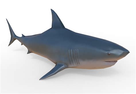 3d Model 3d Low Poly Shark Vr Ar Low Poly Cgtrader