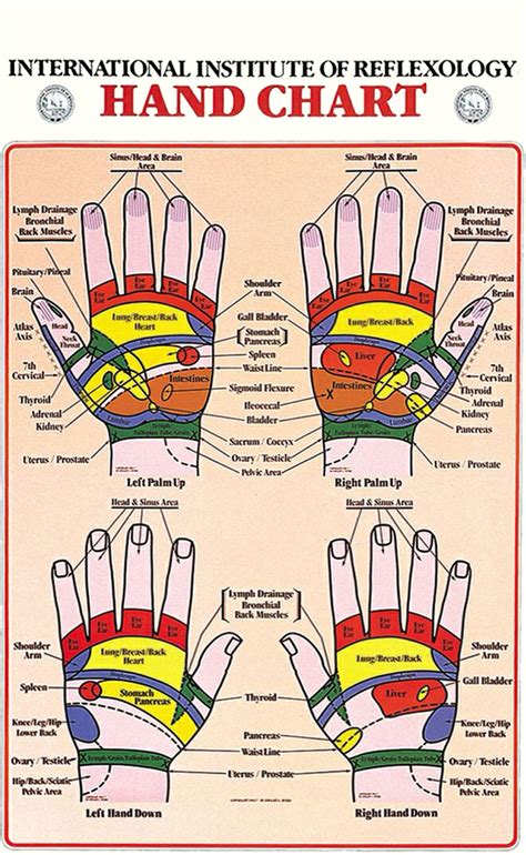 International Institute Of Reflexology Hand Chart