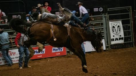Dvids Images Belton Rodeo Expo 2022 Image 1 Of 11