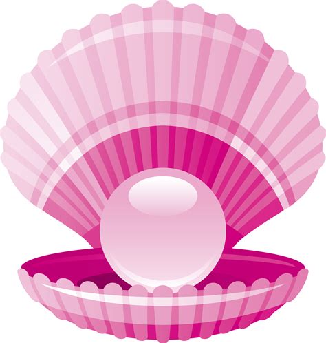 Clam Clipart Pink Clam Pink Transparent Free For Download On