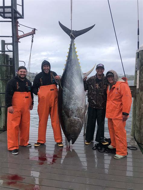 Giant Bluefin Tuna Fish